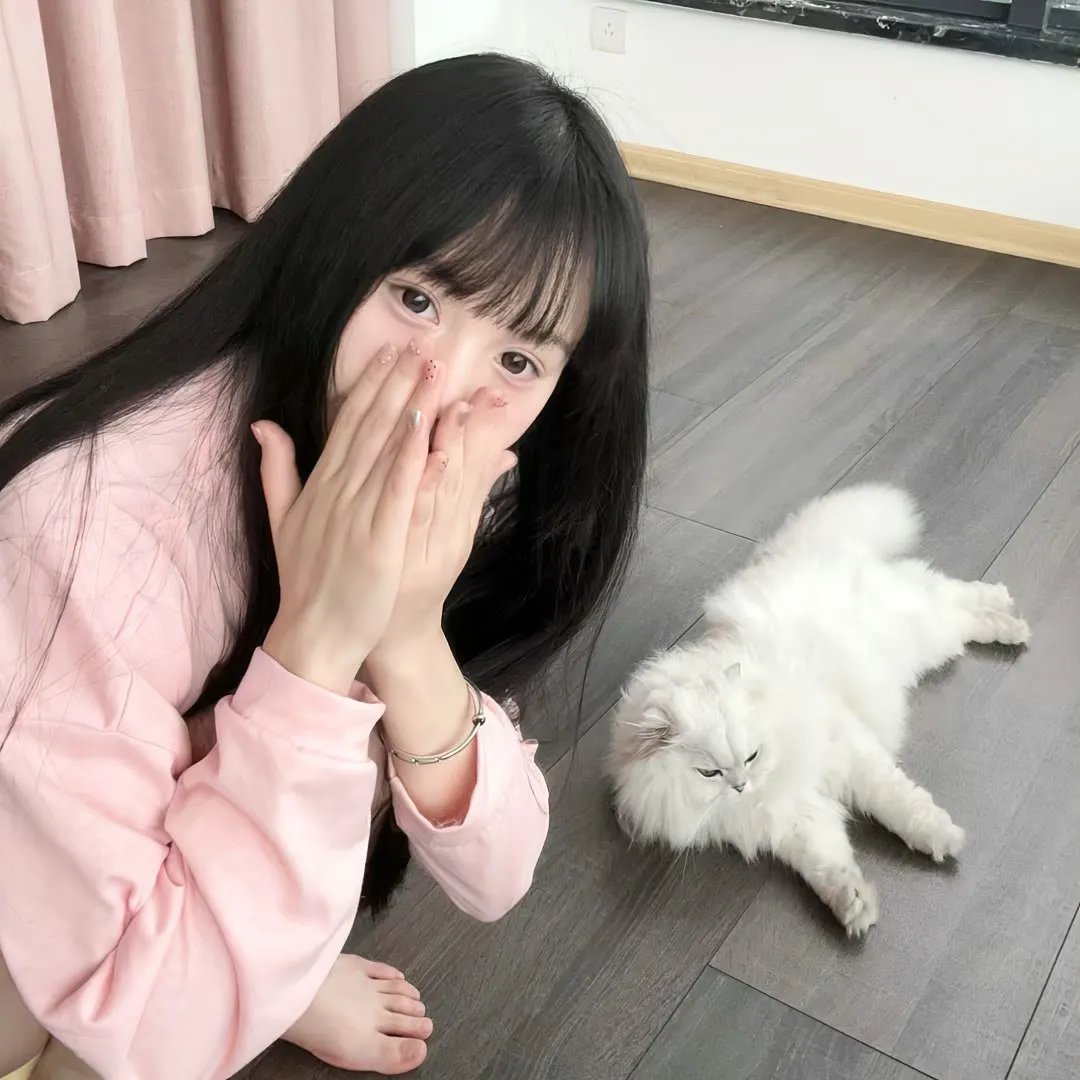 猪猪侠之英雄猪少年